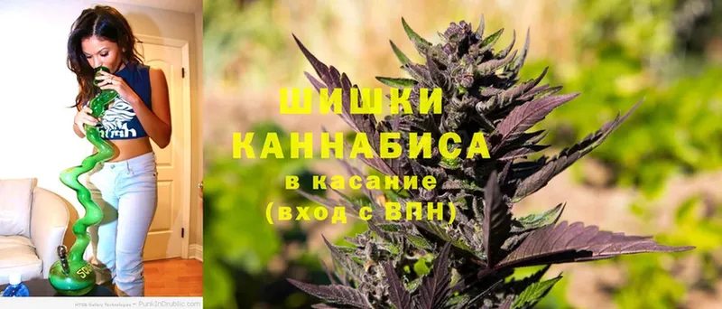 kraken   Болхов  Каннабис White Widow 